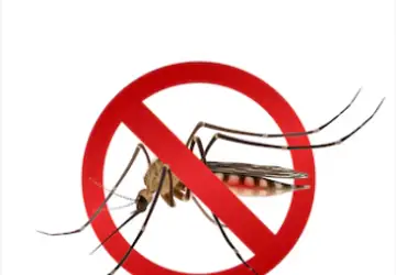 Brasileiros são vítimas do pior surto de dengue da história