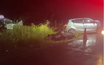 LAGARTO/SE, Motorista morre ao colidir seu veículo contra uma vaca